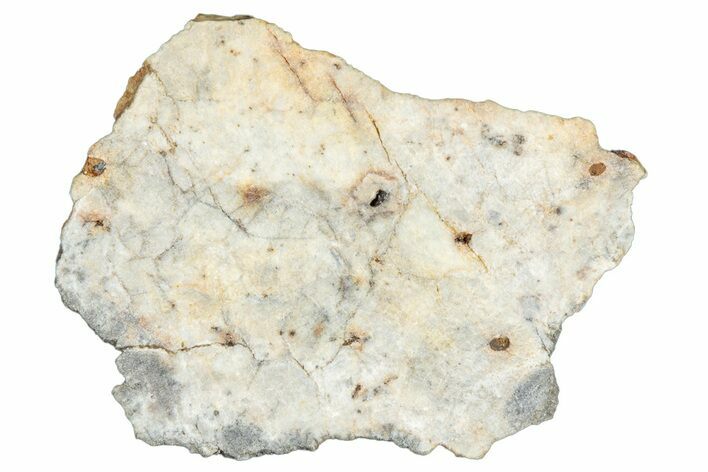 Aubrite Meteorite Slice ( g) - Djoua #283663